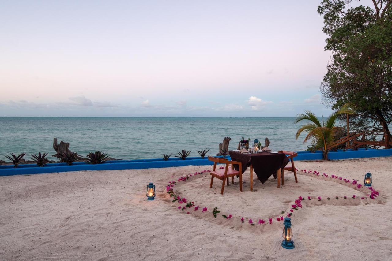 Moja Tuu The Luxury Villas & Nature Retreat Kiwengwa (Zanzibar) Exterior foto